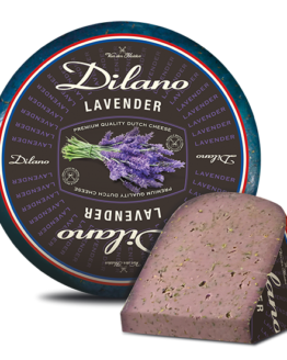 dilano-lavender